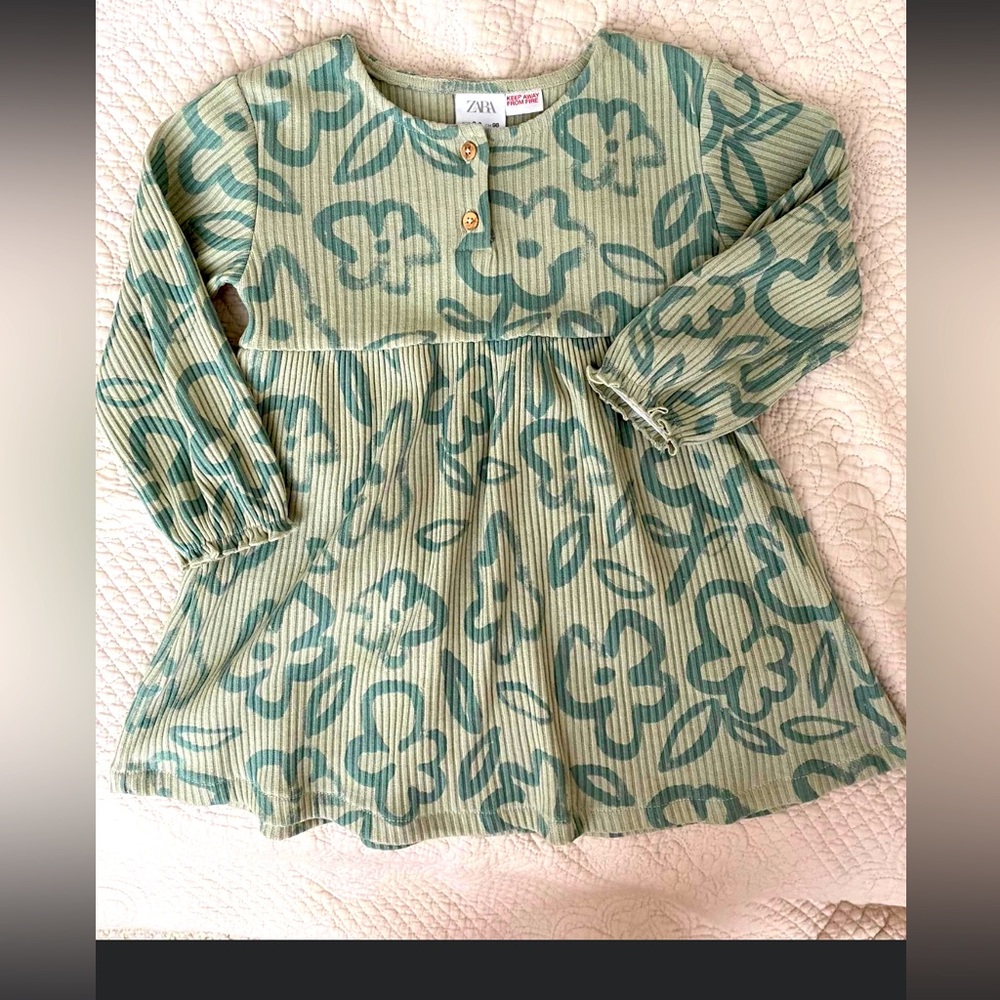 Zara HTF Dress 4/5 NWOT